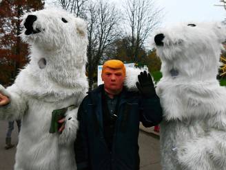 Zelfs ijsberen vinden hun weg naar klimaattop