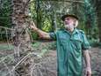Op pad met de boswachter, die toont welke schade hitte aanricht: “Dit jaar al 700 bomen moeten kappen. Normaal zijn dat er nul”