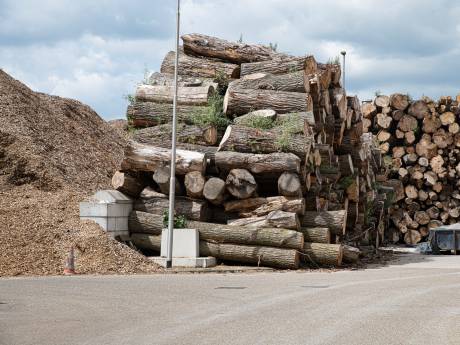 Onderzoek: biomassa zorgt voor hogere uitstoot dan kolen