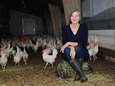 Pluimveehouders in kippenhoofdstad Barneveld houden hart vast om vogelgriep: ‘Nee, niet weer!’
