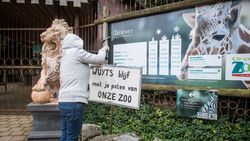 Bezoekster: "Wuyts (sic) blijf met je poten van onze zoo"