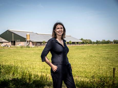 Negatieve stroomprijzen? Leuk voor consumenten, maar deze boer baalt: ‘Zonnepanelen tijdelijk uitgezet’