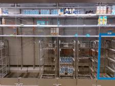Stakingen bij Albert Heijn: ‘Effect van hogere loonkosten waarschijnlijk groter dan tijdelijk lege schappen’
