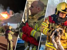 Brandweer rukt honderden keren per jaar uit voor dieren in nood, we hebben de gekste op een rijtje gezet