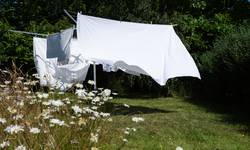 Waarom wasgoed dat buiten droogt zo heerlijk ruikt