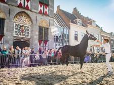 Geen Paardenmarkt in Vianen dit jaar: 1,5 meter afstand niet mogelijk