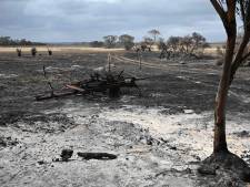 Feux de forêt en Australie: 76 millions de dollars dégagés pour aider le secteur touristique