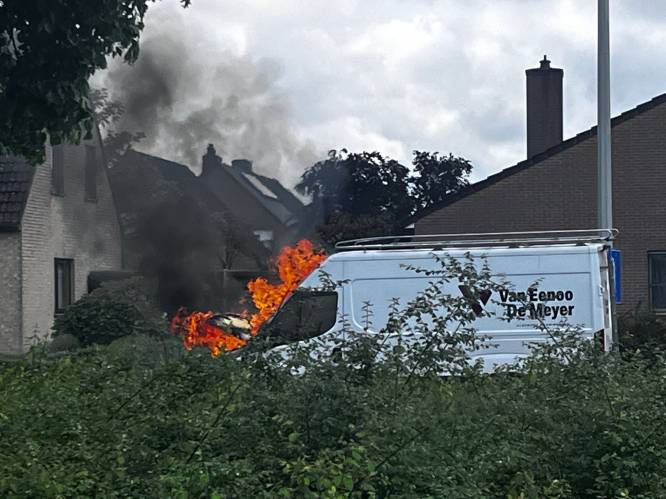 Bestelwagen brandt volledig uit, chauffeur ongedeerd