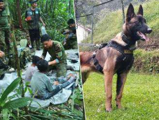Colombiaanse kinderen terecht, maar leger zoekt verder naar vermiste speurhond: “We laten niemand achter”