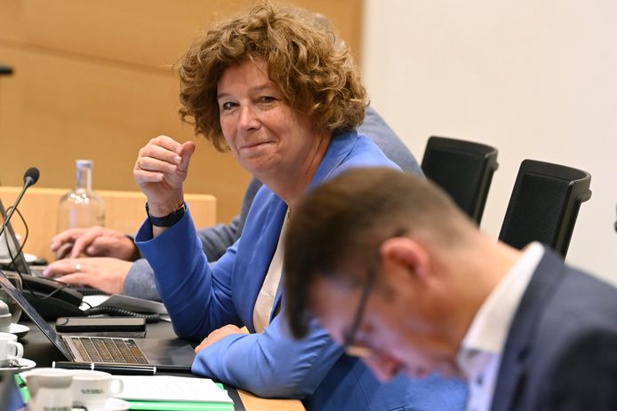 Vicepremier Petra De Sutter (Groen) in de Kamercommissie.