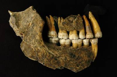 Neanderthalers verdwenen duizenden jaren eerder uit België dan gedacht