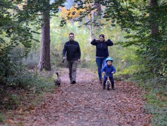 Veilig eropuit met je gezin tijdens de lockdown? Het kan nog! Dit zijn de leukste uitstappen tijdens de herfst