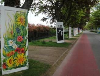 Amateurkunstenaars krijgen begin mei kans om werken tentoon te stellen in De Camme