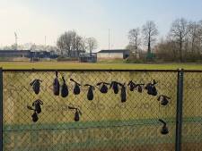 Zakjes hondenpoep langs de velden van sportpark bezorgen overlast: ‘Strontvervelend’