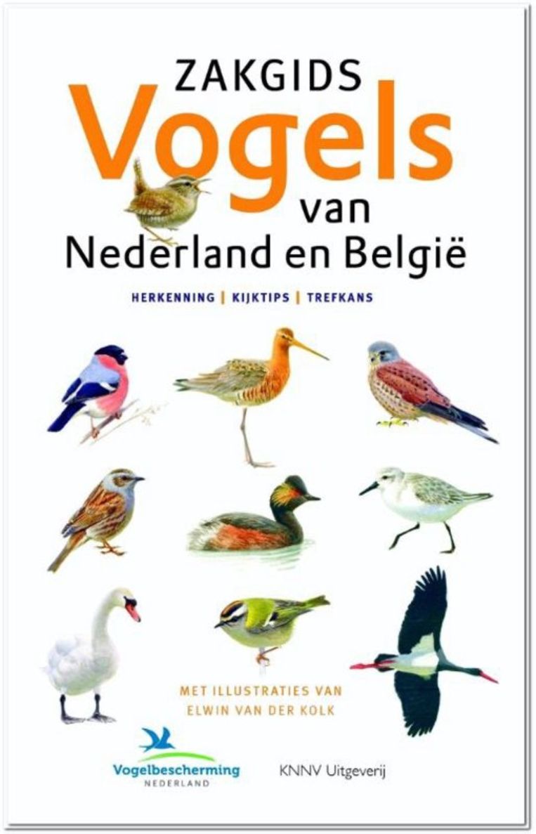 Zakgids vogels van Nederland en België.  Beeld RV