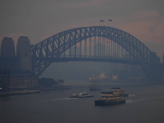 Sydney stikt in dikke rook door bosbranden: luchtvervuiling even slecht als roken van 30 sigaretten per dag