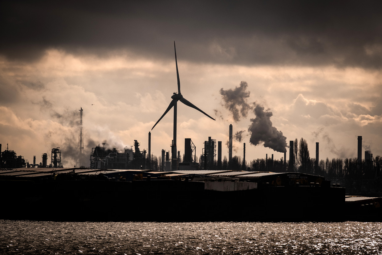 De Europese Commissie heeft voorstellen klaar voor een nieuwe ‘koolstofgrensheffing’, die een prijs plakt op de import van vervuilende goederen zoals cement en staal richting Europa. Beeld © Bart Leye
