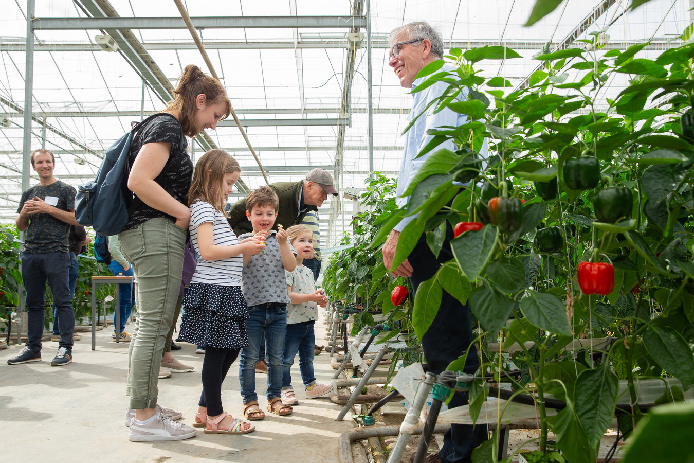 Glastuinbouwbedrijven trekken veel publiek met Kom in de Kas 'Kinderen