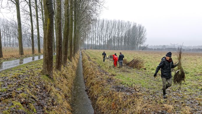 Vrijwilligers waren afgelopen weekeinde actief in het Voedselbos in Schijndel, ook medewerkers van cateraar Vitam.