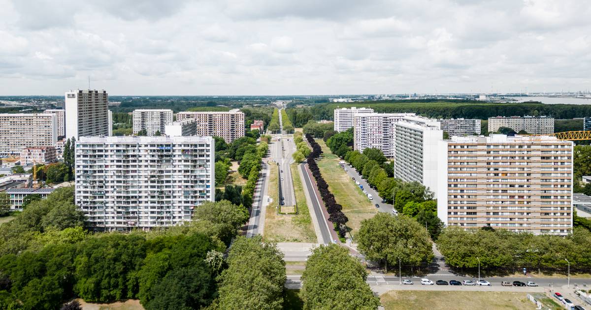 Europark’s Future Vision: A Green, Energy-Efficient Neighborhood with Extra Living Space