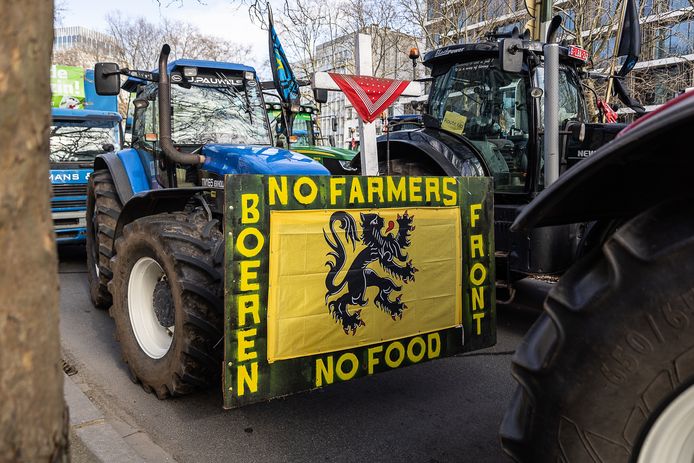 Ook Vlaamse boeren lopen te hoop in Brussel tegen het stikstofbeleid van de regering.