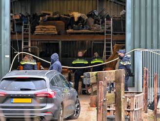 Arrestatieteams vallen woningen binnen in Tilburg, spullen afgevoerd uit paardenstal Hilvarenbeek