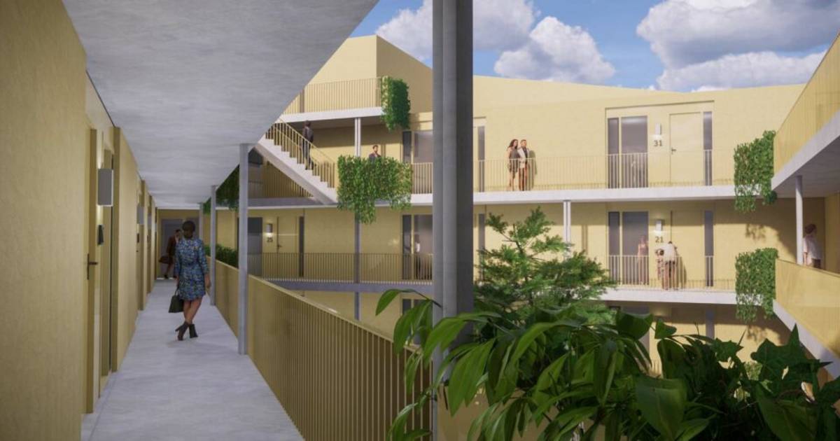 De Grijze Generaal in Eindhoven krijgt een ‘ondergeschikte’ als buurman