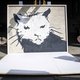 Iconische muurschildering van Banksy gaat onder de hamer, en daar is de kunstenaar zelf niet mee opgezet