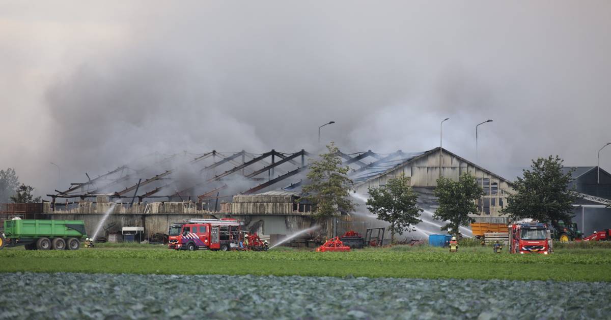 Gudang di sebuah perusahaan pertanian di Kerk yang hancur karena kebakaran hebat |  Waalwijk, Heusden eo