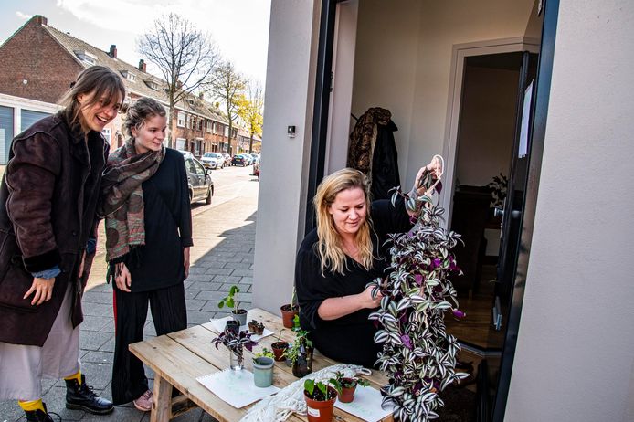 Stekjes ruilen, zoals hier bij het kraampje bij Veestraat 86, bij Maartje Matheeuwsen.