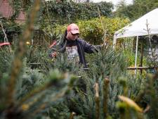 Kerstbomenverkoop in de Reeshof begint al vóór Sinterklaas: ‘Wij willen een grote geurige’