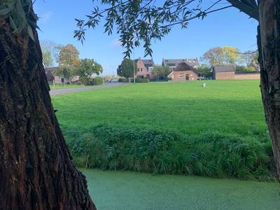Unaniem besluit: huurhuizen in Bruchem mogen er komen