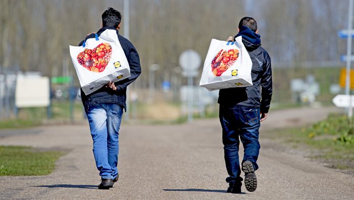 Asielzoekers op weg naar aanmeldcentrum Ter Apel.