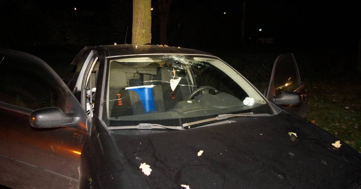 Twee gewonden bij botsing tegen boom in Drunen.
