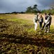 Noord-Brabant biedt excuses aan voor gok met stikstof