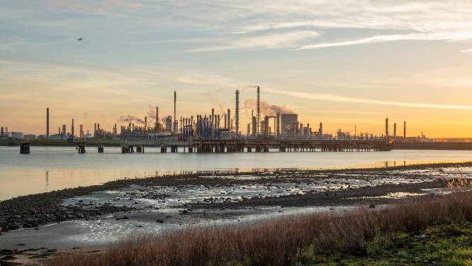 ‘Na Hoek komen huizen in Terneuzen en Axel aan de beurt voor industriële restwarmte’