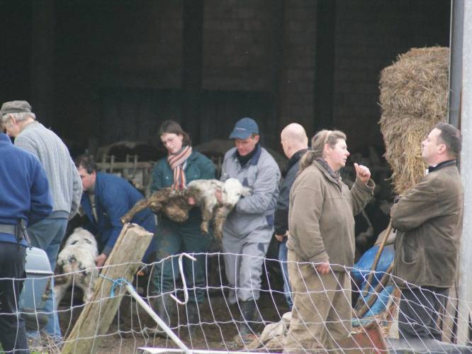 Opnieuw dieren in beslag genomen bij 'slechtste boeren van het land'