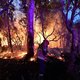 Volkskrant Ochtend: Brandweer Australië staat machteloos tegenover ‘megabrand’ bij Sydney | Biedt de veroordeling van Bouterse ook ruimte voor verzoening?