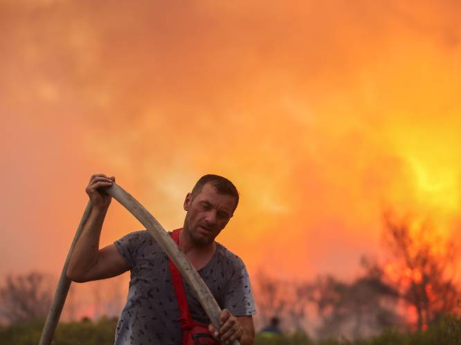 Duizenden op de vlucht voor grote brand in noorden van Athene: “Achter ons is de hel”