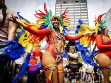 10 x gratis festivals deze zomer in Dordrecht en omgeving