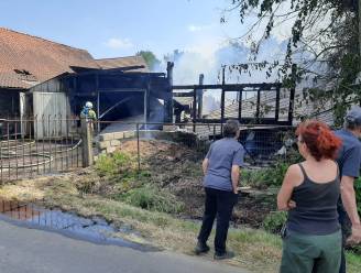 Hevige brand in loods met oude meubelen in Viersel: “Levenswerk van mijn vader ging in vlammen op”