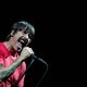 Red Hot Chili Peppers zakken volgend jaar af naar Rock Werchter