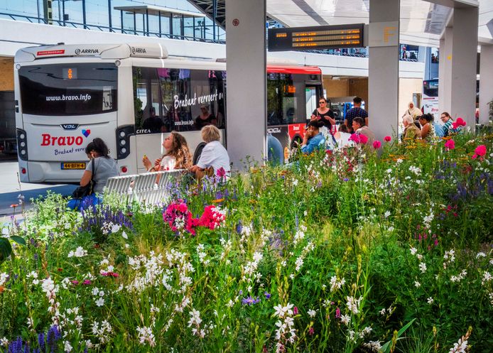 Het busstation in Tilburg.