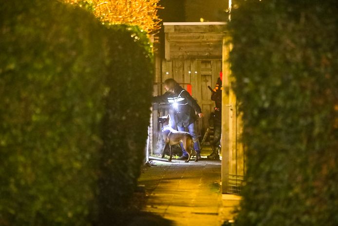 De politie doorzoekt met behulp van een speurhond meerdere tuinen in Voorst.