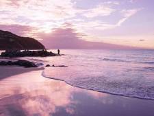 Il est trop tard pour profiter de ces lieux paradisiaques