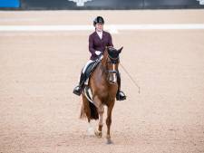Goud voor Voets in dressuur, Hosmar grijpt brons