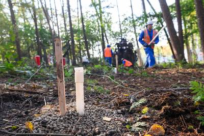 Al honderd vrachtwagens grond weggevoerd van drugsdump in Rijsbergen, nu gaat de natuur de rest opruimen