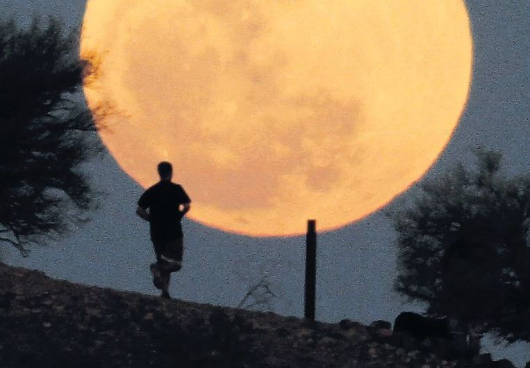 null Beeld reuters