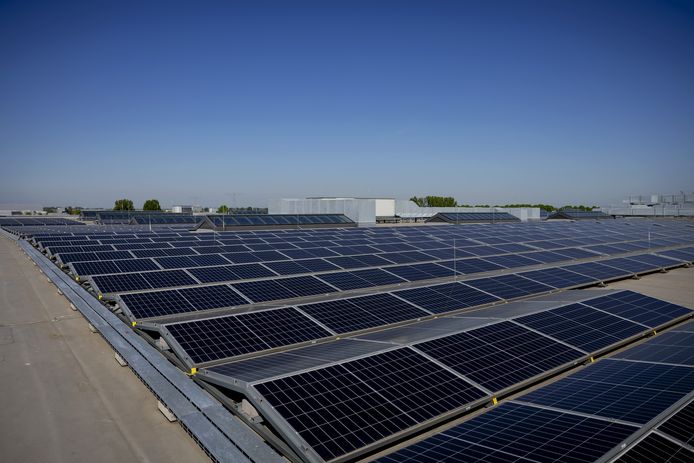 Staan voor inspanning scheepsbouw Delftse start-up krijgt 2,5 miljoen voor zonnepaneel op plat dak | Delft |  AD.nl