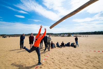 Boomstammen werpen op het zand van de Hoge Veluwe